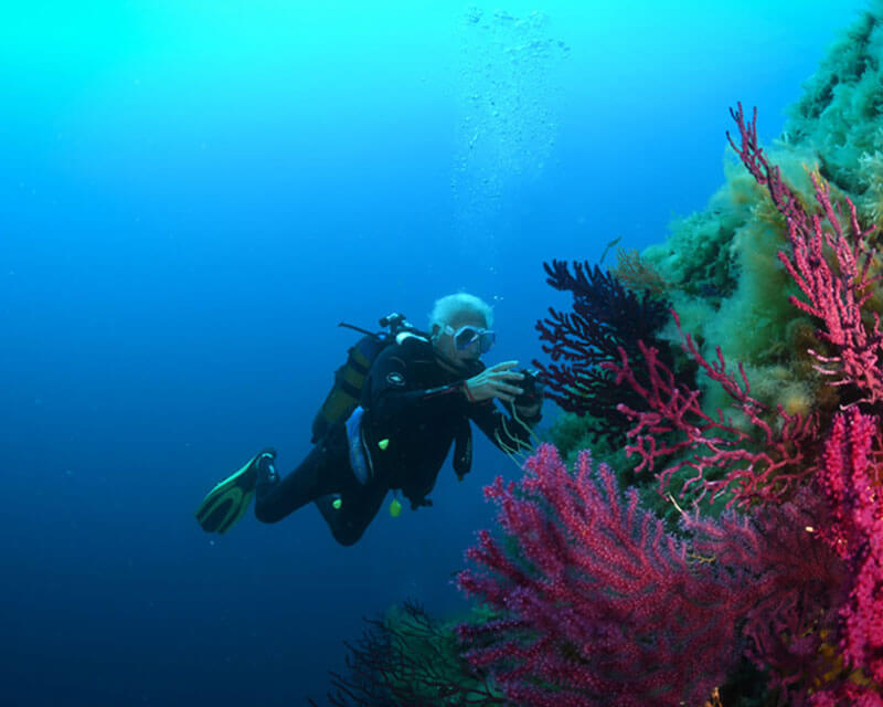 PADI Course Director Training