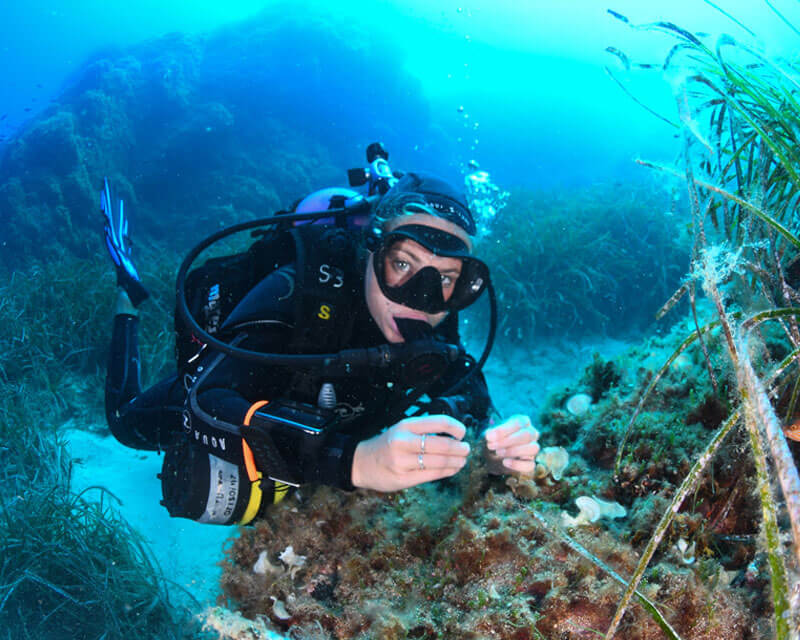 Cursus complet 15 mois – Go Pro