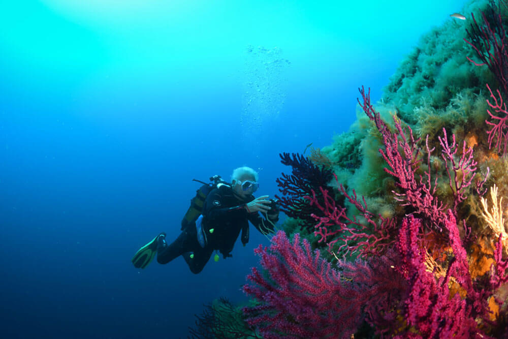 Dive master PADI