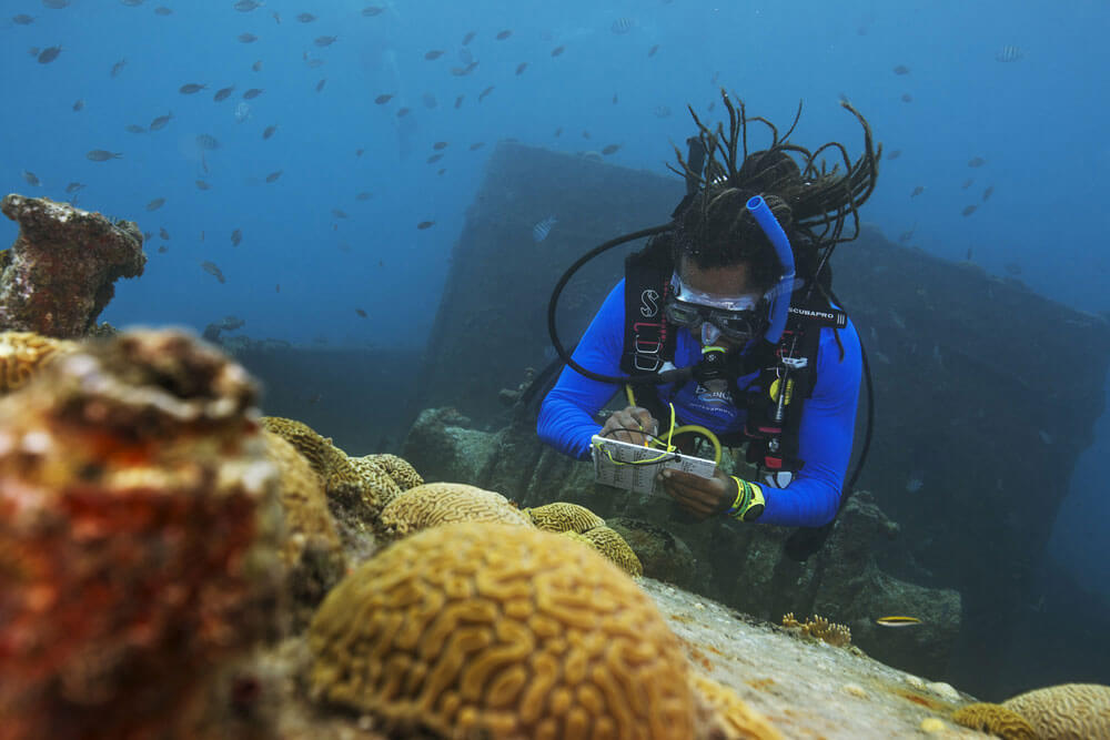 Dive master PADI