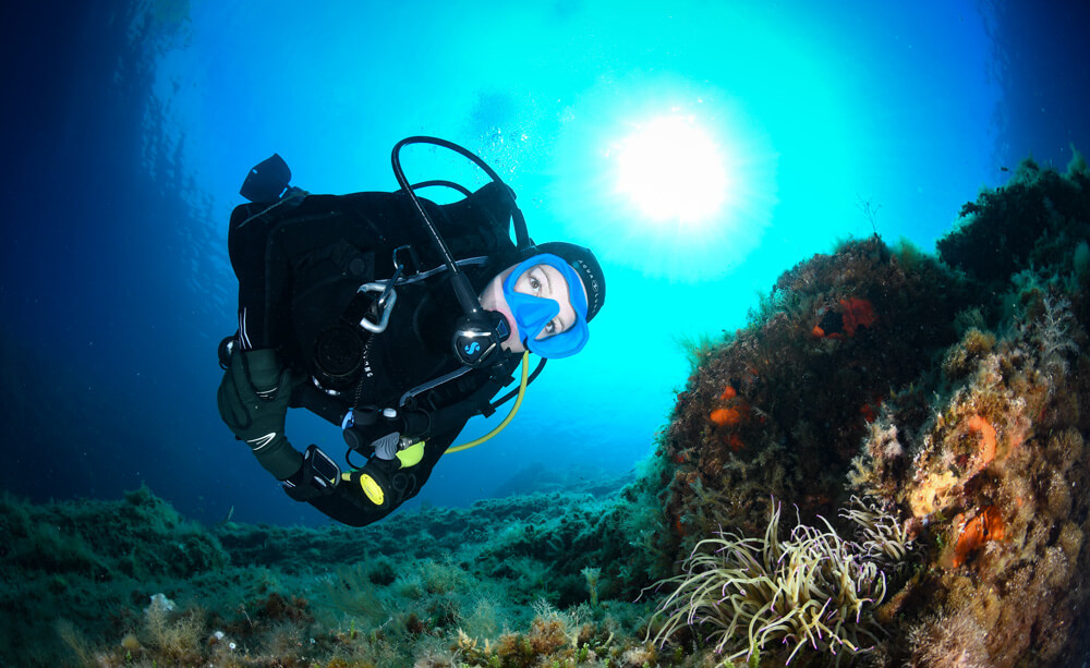 Dive master PADI