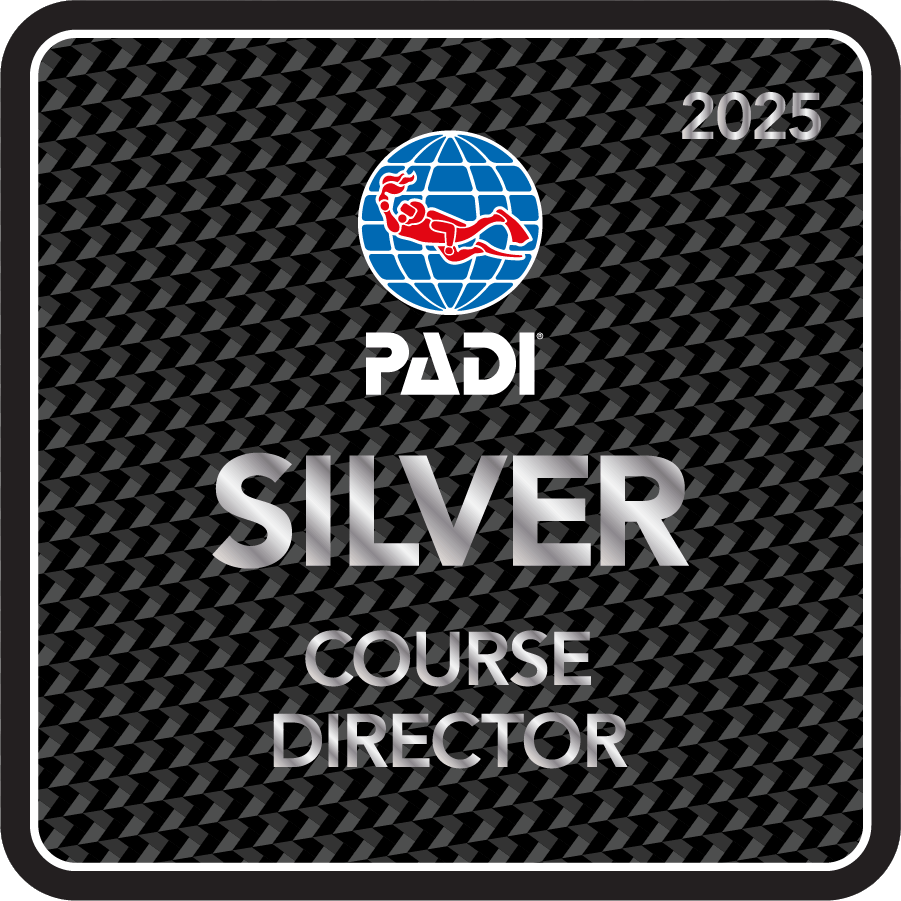 PADI Silver Award 2025