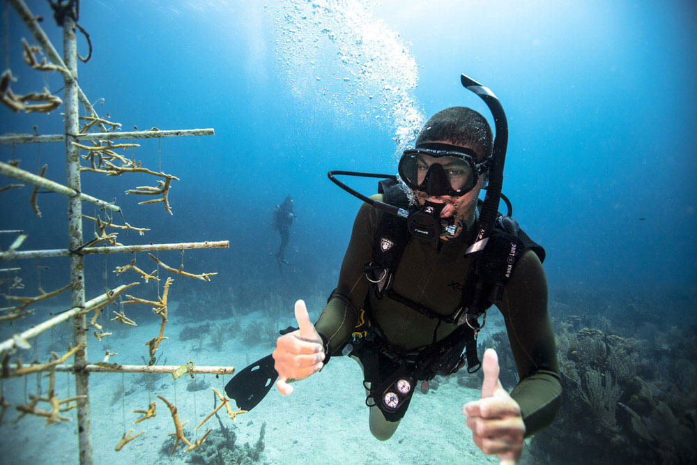 Dive master PADI