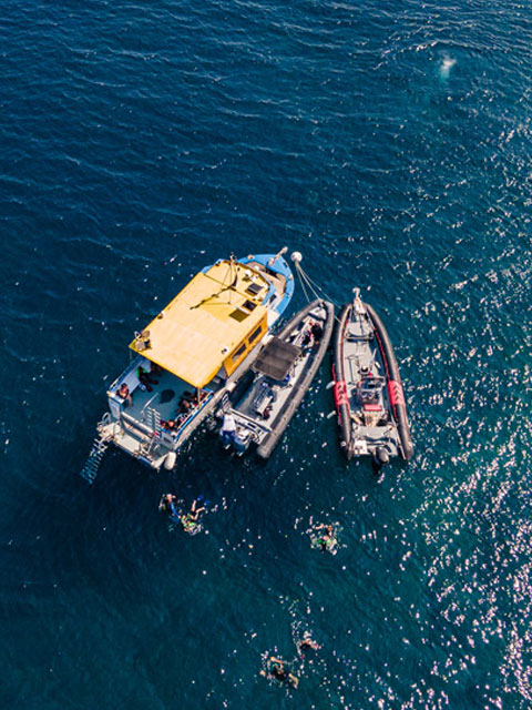 Flotte bateaux moniteur de plongée Aqualonde