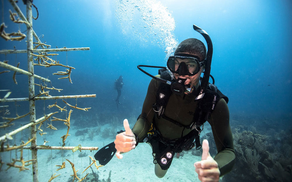 Combien de temps faut-il pour devenir Scuba Instructor ?