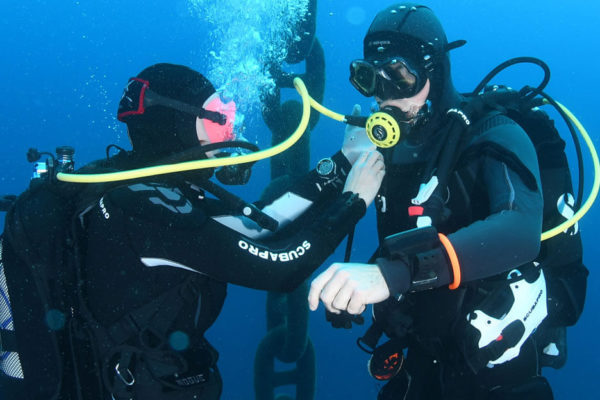Étapes clés pour devenir moniteur de plongée professionnel