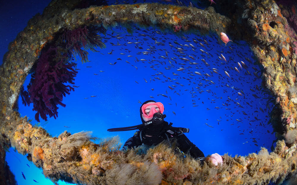 MYTHE n° 1 :  Vous devez avoir une connaissance encyclopédique de la plongée sous-marine