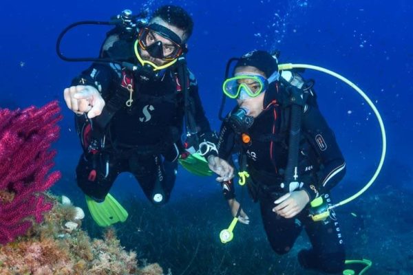 Combien coûte une formation de plongée ? Tarifs PADI, FFESSM et diplômes d’État