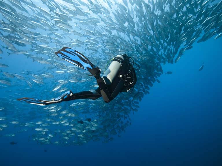 Travailler comme moniteur de plongée à l’étranger : visas, contrats et meilleures destinations