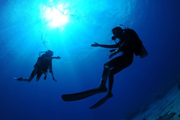 Où et quand faire son IDC PADI ? Lieux, périodes et critères pour bien choisir