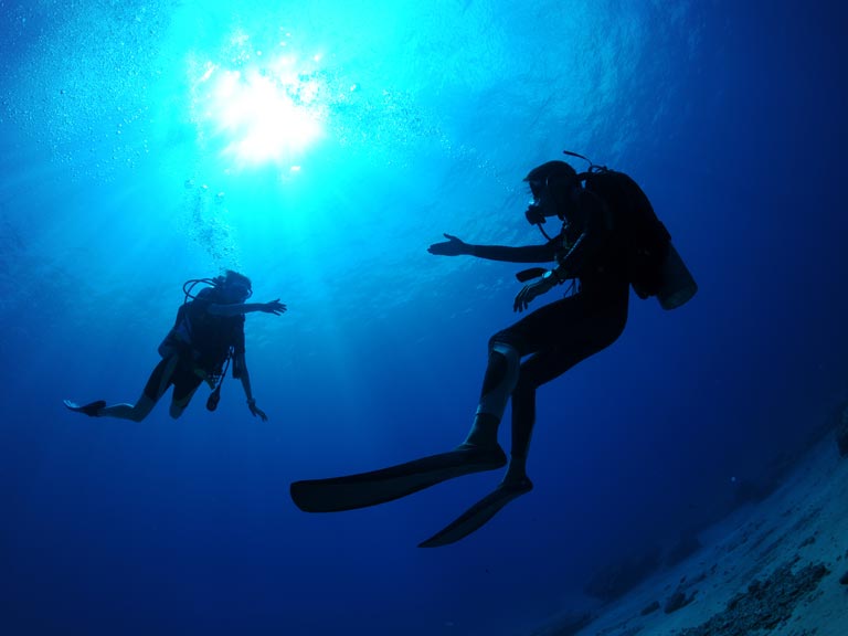 Où et quand faire son IDC PADI ? Lieux, périodes et critères pour bien choisir