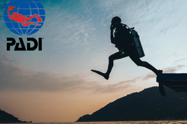 Le système PADI expliqué : niveaux, formations, pédagogie et carrière
