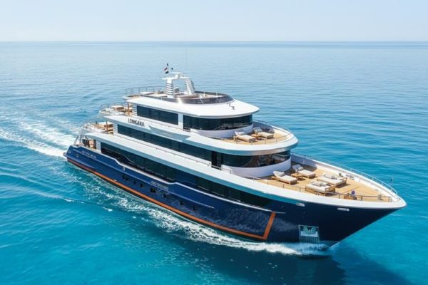 Croisières plongée en Égypte 2026 & 2027 : deux itinéraires emblématiques en mer Rouge