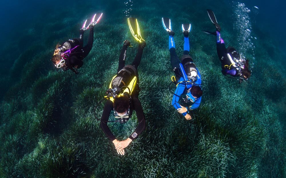 Une expérience réelle, acquise en mer, pas en salle