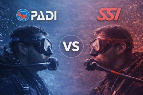PADI contre SSI : qui domine vraiment le marché de la plongée ?