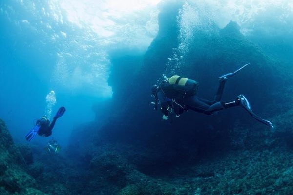 PADI vs SSI vs SDI : que choisir pour devenir moniteur ?