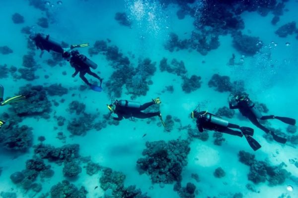 À quoi sert d’être moniteur PADI ?