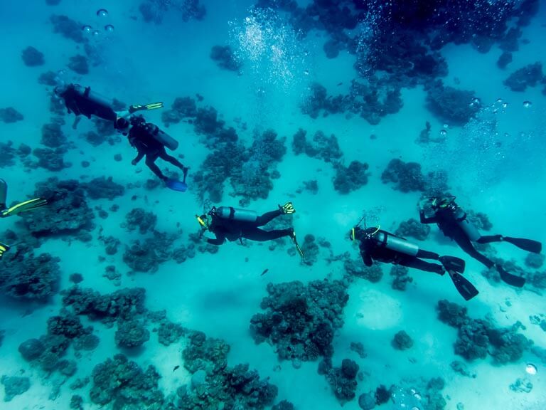 À quoi sert d’être moniteur PADI ?