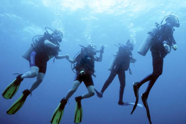 PADI et liberté pédagogique : que disent vraiment les standards ?