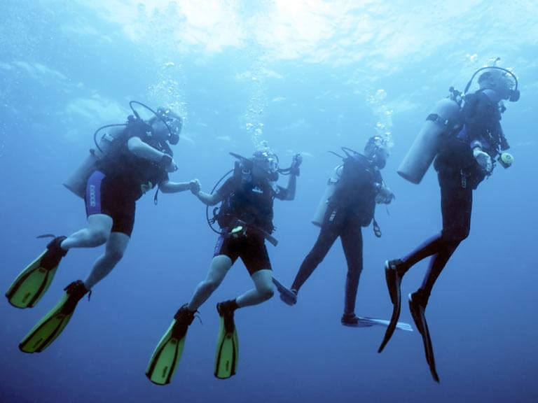 PADI et liberté pédagogique : que disent vraiment les standards ?